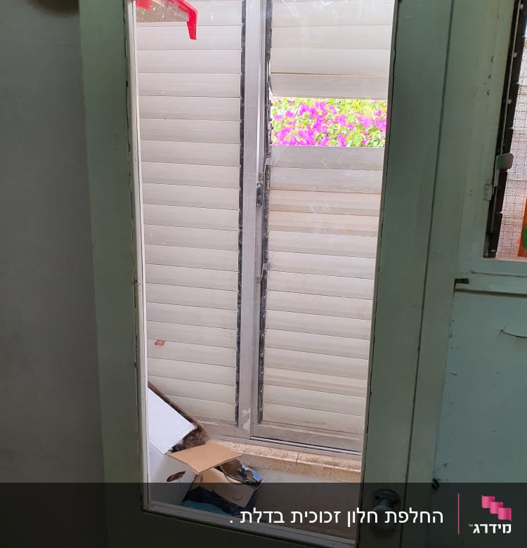 דלת זכוכית עם נוף חיצוני של תריסים ופרחים